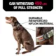 Product KONG® Chew Resistant Dog Collar