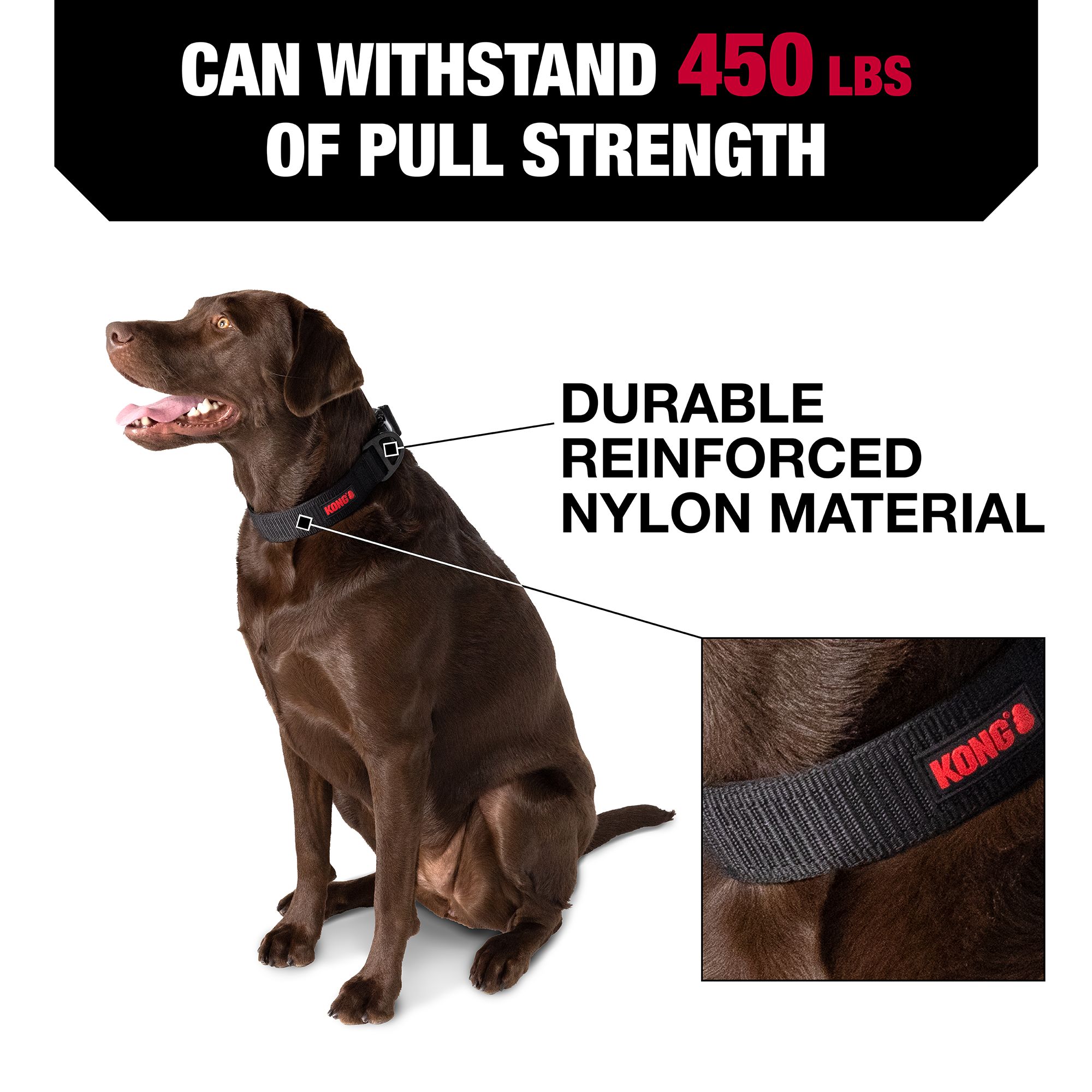 Non chewable dog collars best sale