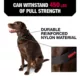 Product KONG® Chew Resistant Dog Collar