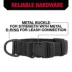 KONG® Dog Collar, Chew Resistant, Durable, Multiple Sizes & Colors image thumbnail 4