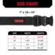 Product KONG® Chew Resistant Dog Collar