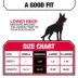 KONG® Dog Collar, Chew Resistant, Durable, Multiple Sizes & Colors image thumbnail 5