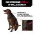 KONG® Dog Collar, Chew Resistant, Durable, Multiple Sizes & Colors image thumbnail 2