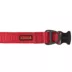 KONG® Dog Collar, Chew Resistant, Durable, Multiple Sizes & Colors image thumbnail 1