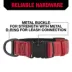 KONG® Dog Collar, Chew Resistant, Durable, Multiple Sizes & Colors image thumbnail 4