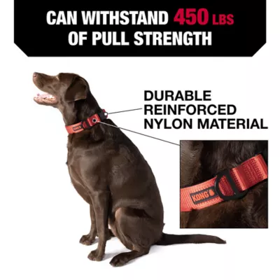 Product KONG® Chew Resistant Dog Collar