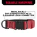 KONG® Dog Collar, Chew Resistant, Durable, Multiple Sizes & Colors image thumbnail 4