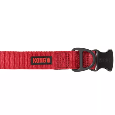 KONG® Dog Collar, Chew Resistant, Durable, Multiple Sizes & Colors - Image 1