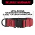 KONG® Dog Collar, Chew Resistant, Durable, Multiple Sizes & Colors image thumbnail 4