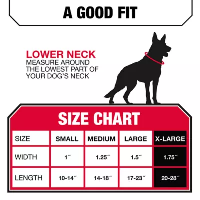 KONG® Dog Collar, Chew Resistant, Durable, Multiple Sizes & Colors - Image 5