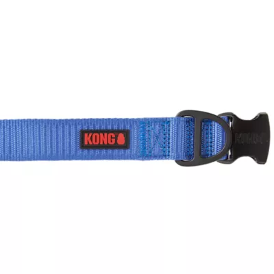 Kong Chew Resistant Dog Collar