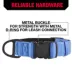 KONG® Dog Collar, Chew Resistant, Durable, Multiple Sizes & Colors image thumbnail 4