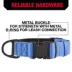 KONG® Dog Collar, Chew Resistant, Durable, Multiple Sizes & Colors image thumbnail 4