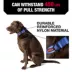 KONG® Dog Collar, Chew Resistant, Durable, Multiple Sizes & Colors image thumbnail 2