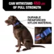 Product KONG® Chew Resistant Dog Collar