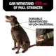 Product KONG® Chew Resistant Dog Collar