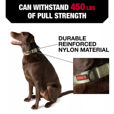Product KONG® Chew Resistant Dog Collar