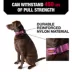KONG® Dog Collar, Chew Resistant, Durable, Multiple Sizes & Colors image thumbnail 2