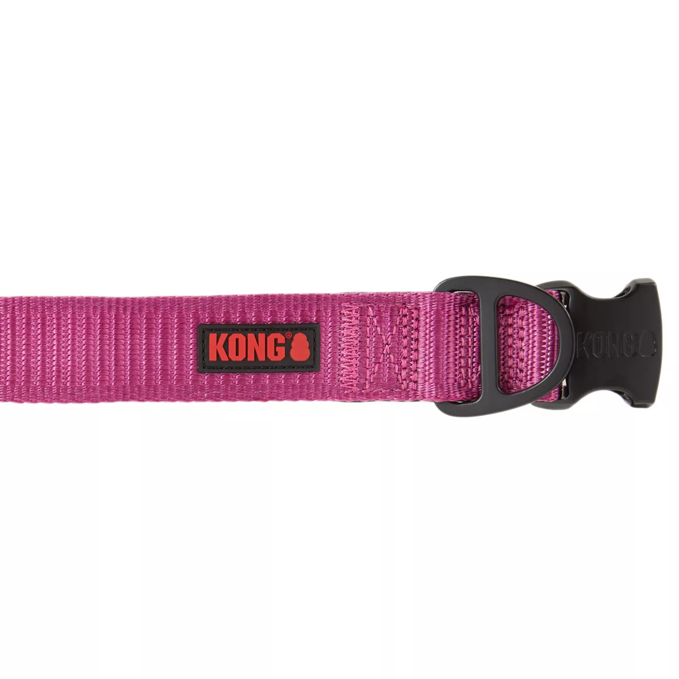 Chew resistant dog collar sale