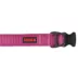 KONG® Dog Collar, Chew Resistant, Durable, Multiple Sizes & Colors image thumbnail 1