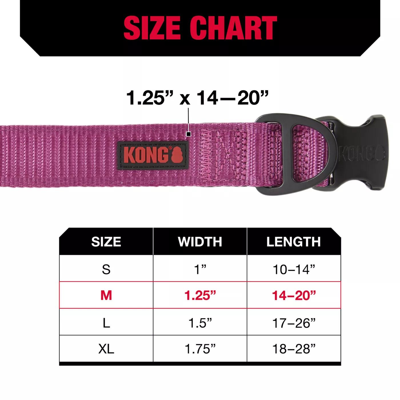KONG Chew Resistant Dog Collar