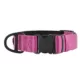 Product KONG® Chew Resistant Dog Collar