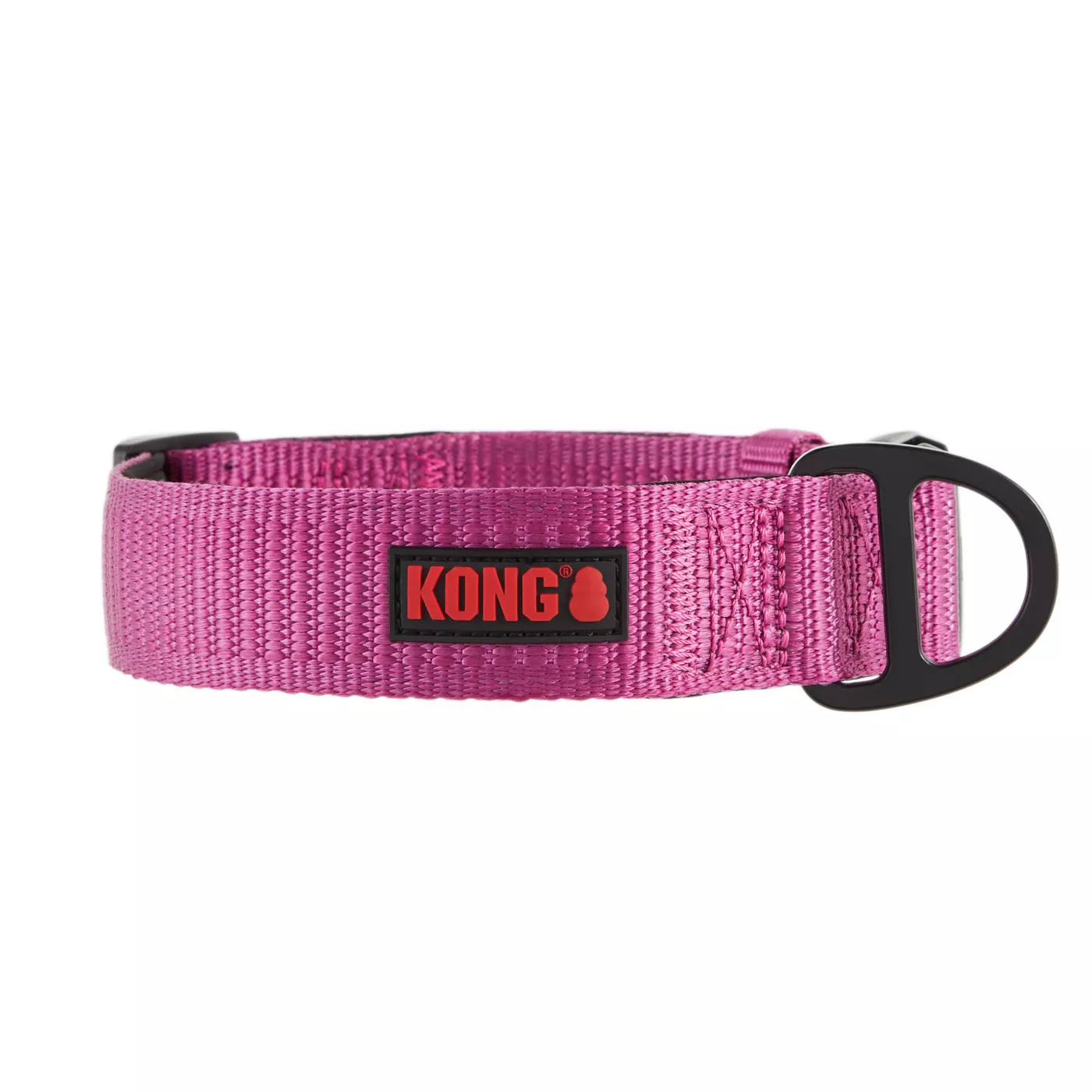 KONG Chew Resistant Dog Collar