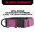 KONG® Dog Collar, Chew Resistant, Durable, Multiple Sizes & Colors image thumbnail 4