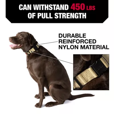 KONG® Dog Collar, Chew Resistant, Durable, Multiple Sizes & Colors - Image 2