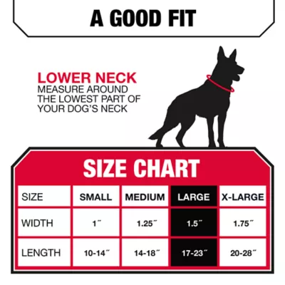 KONG® Dog Collar, Chew Resistant, Durable, Multiple Sizes & Colors - Image 5