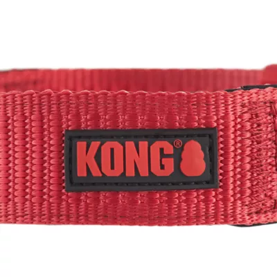 Product KONG® Chew Resistant Dog Collar