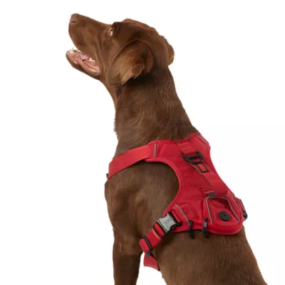 KONG® Reflective Waste Bag Dog Harness - Image 1