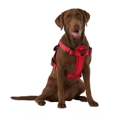 KONG® Reflective Waste Bag Dog Harness - Image 2