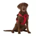 KONG® Reflective Waste Bag Dog Harness image thumbnail 2