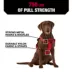 KONG® Reflective Waste Bag Dog Harness image thumbnail 3