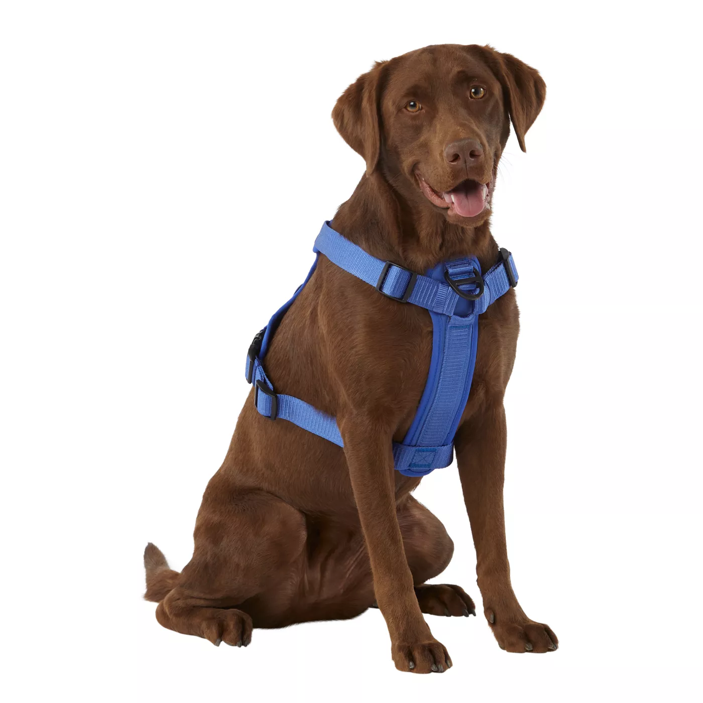 KONG Reflective Waste Bag Dog Harness