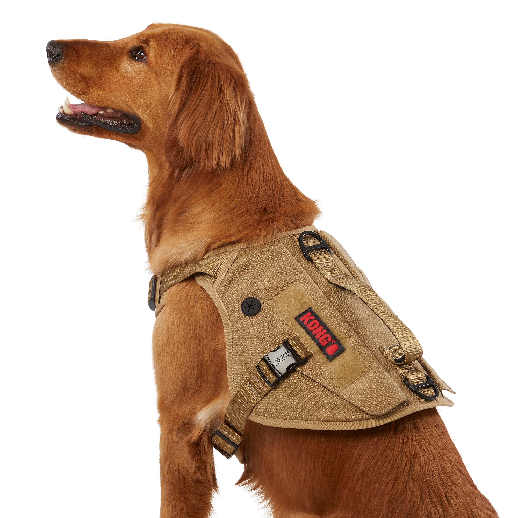 Kong no 2025 pull harness