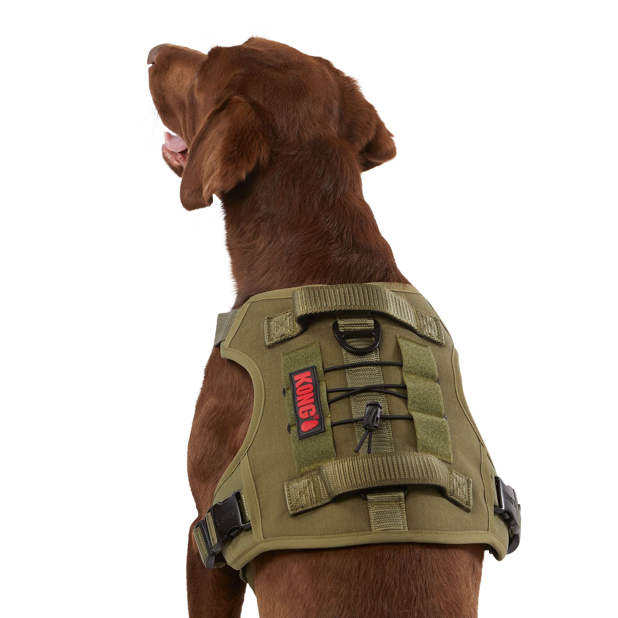 KONG Double Handle Vest Dog Harness