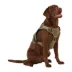 KONG® Double Handle Vest Dog Harness image thumbnail 2
