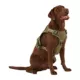 Product KONG® Double Handle Vest Dog Harness