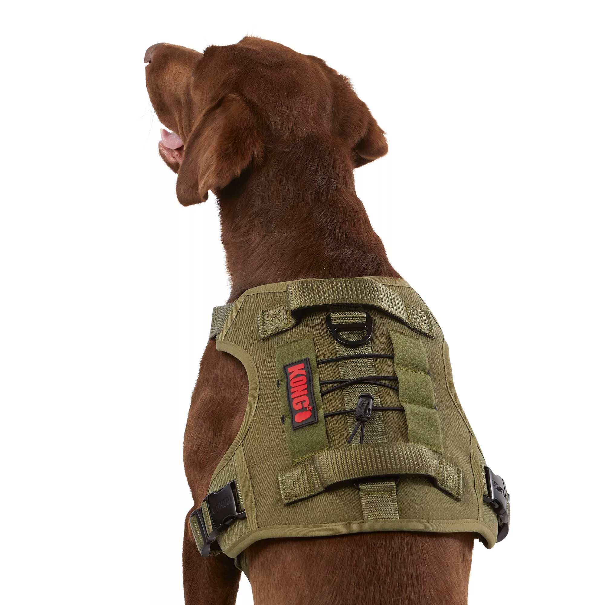 KONG® Double Handle Vest Dog Harness