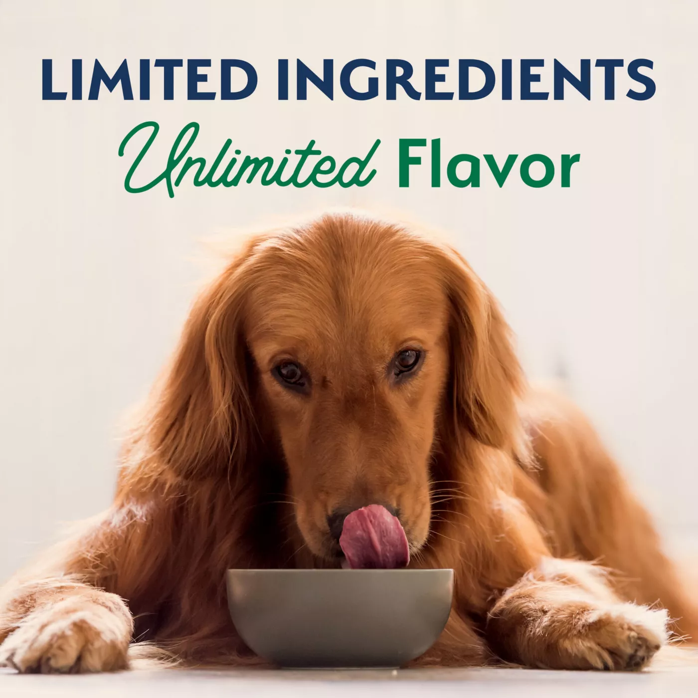 Limited ingredient dog food petsmart sale