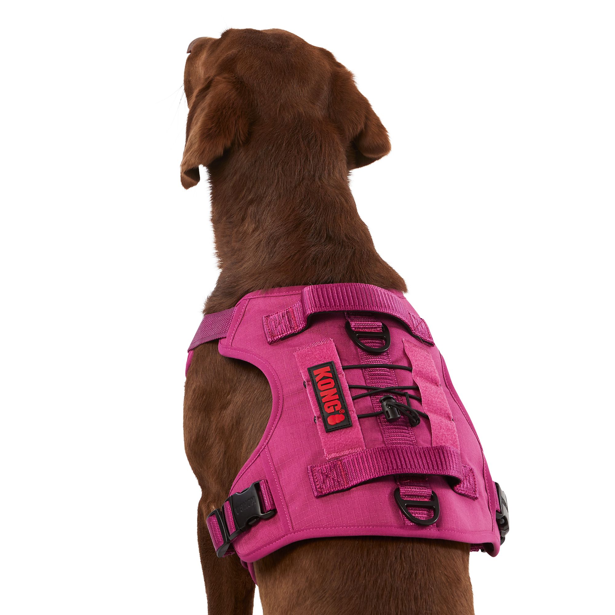 KONG Double Handle Vest Dog Harness