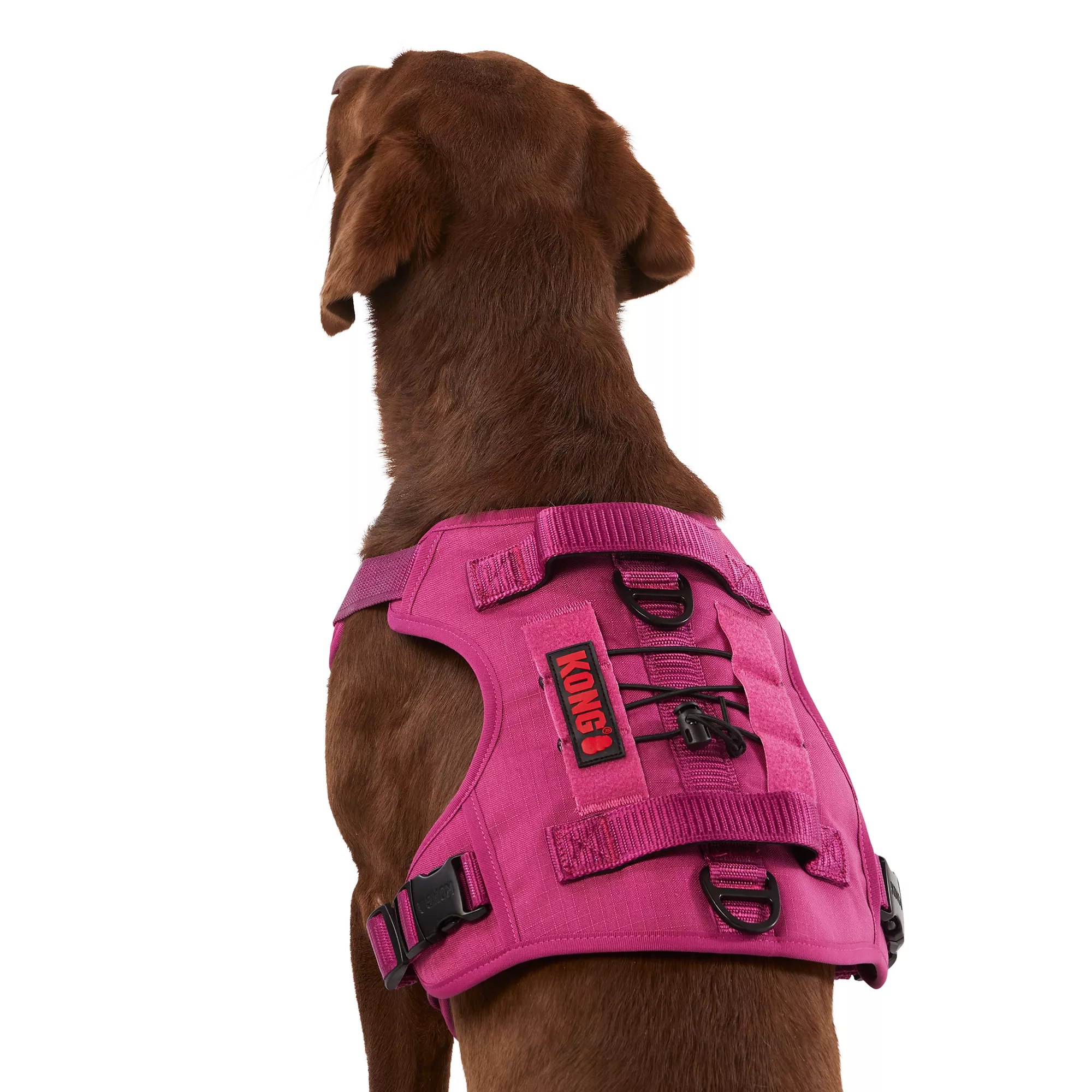 KONG® Double Handle Vest Dog Harness