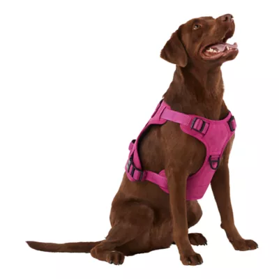 Product KONG® Double Handle Vest Dog Harness