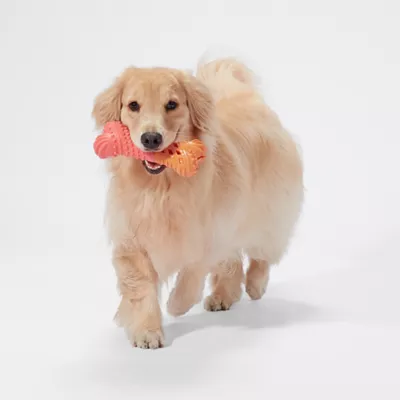 Product Joyhound Chew Well Bone Treat Dispenser Dog Toy
