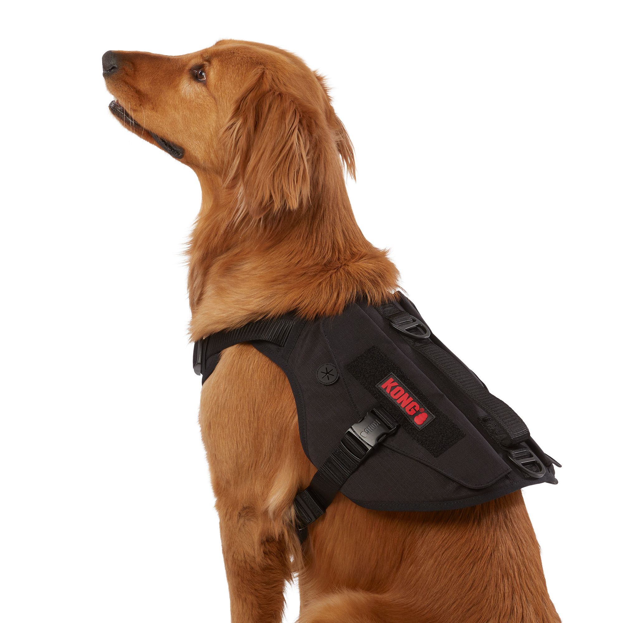 KONG Tactical Vest Dog Harness