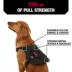 KONG® Tactical Dog Harness, Adjustable, Durable, Multiple Sizes & Colors image thumbnail 3
