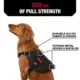 Product KONG® Tactical Vest Dog Harness