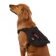 Product KONG® Tactical Vest Dog Harness